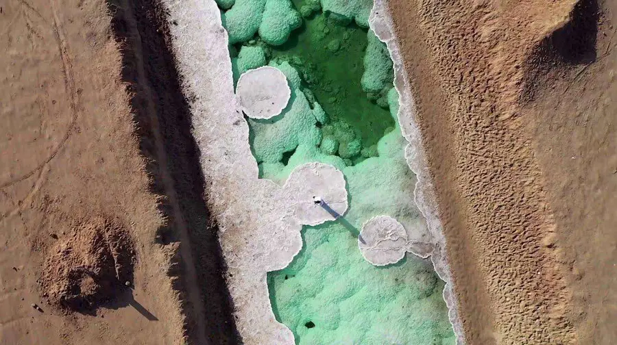 Aerial top-down view of circular salt mushroom structures in vibrant green water at Al Wathba Long Salt Lake in Abu Dhabi.