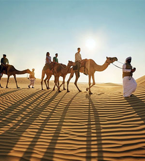 desert safari header image